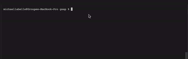 Code installation npm GSAP